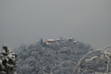 DSC_0140.jpg