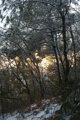 DSC_0180.jpg