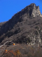 郭亮6.jpg