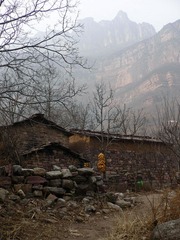 屋后.jpg