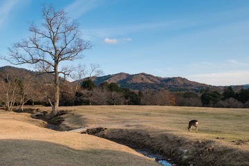P1040065