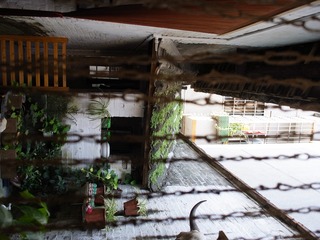 R0010589