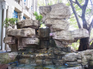 R0019627