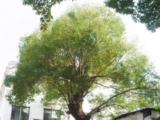 R0019686