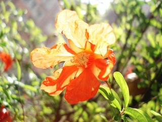 DSC02513.JPG