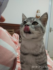 2661