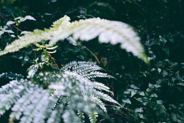 20150906-DSCF2197