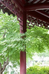 YE5A0737