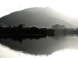 R1010298.jpg