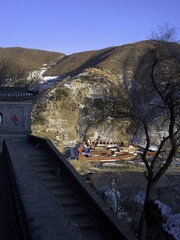 R1012064.jpg
