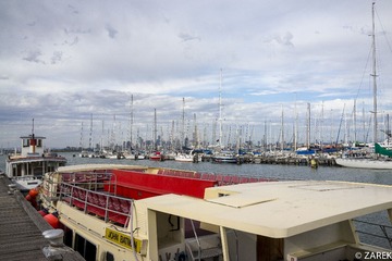 DSC05466.jpg