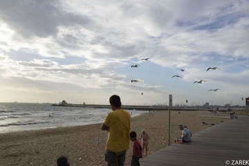 DSC05498.jpg