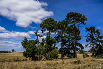 DSC05578.jpg