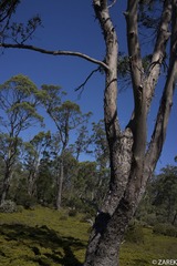 DSC05798.jpg