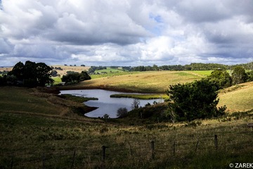 DSC05740.jpg