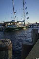 DSC05837.jpg