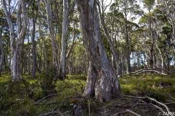 DSC06079.jpg