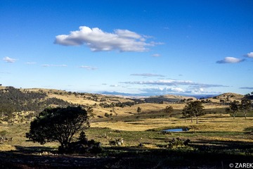 DSC06088.jpg