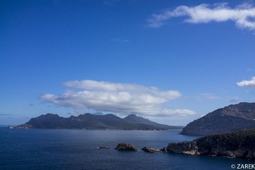 DSC06462.jpg