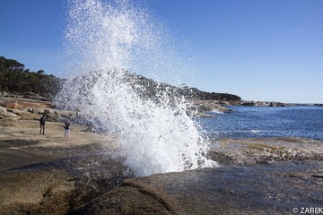 DSC06545.jpg