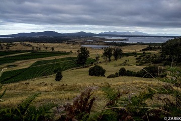 DSC06505.jpg