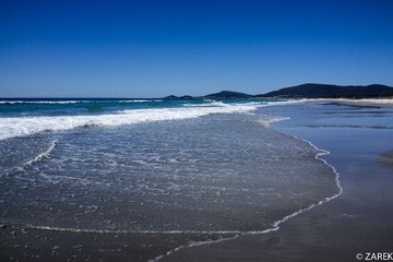 DSC06593.jpg