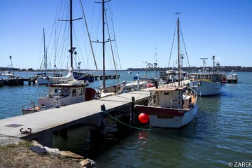 DSC06626.jpg
