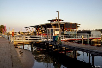 DSC07081.jpg