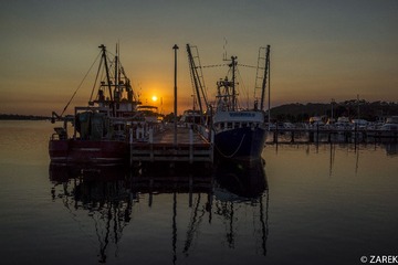 DSC07088.jpg