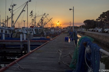 DSC07091.jpg