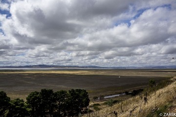 DSC07138.jpg
