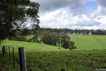 DSC07145.jpg