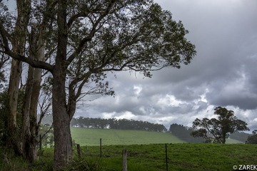 DSC07153.jpg