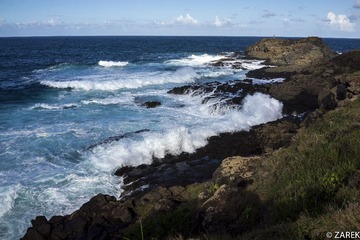 DSC07315.jpg