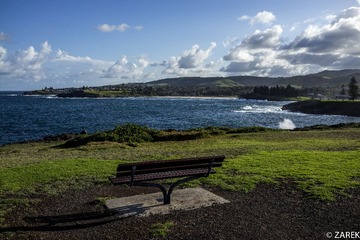 DSC07351.jpg