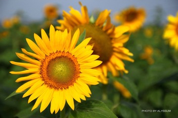 IMG_3759.jpg