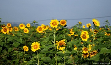 IMG_3762.jpg