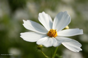 IMG_3696.jpg