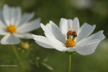 IMG_3710.jpg