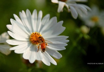 IMG_3711.jpg