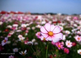 IMG_3685.jpg