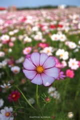 IMG_3686.jpg