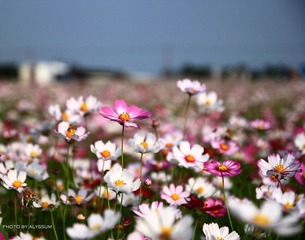 IMG_3688.jpg