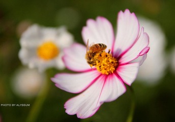 IMG_3707.jpg