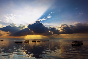 D602CD18-209E-4B47-B6CB-D29A7708ECC5/L0/001