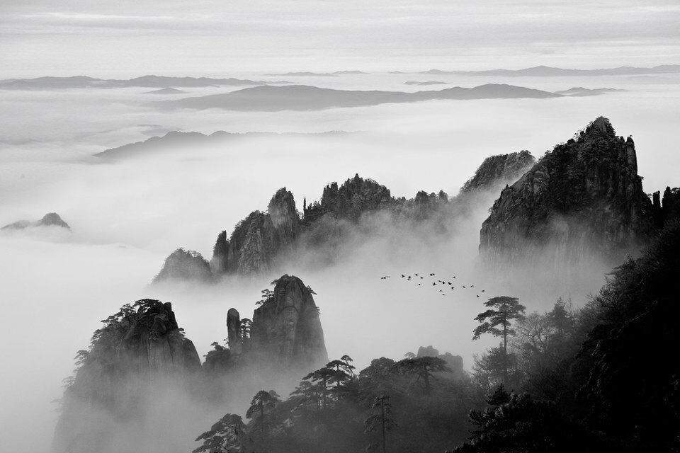 天下黄山<br />
