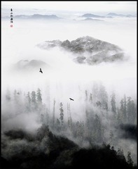 青山新雨后.jpg