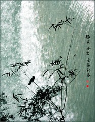 听泉1.jpg
