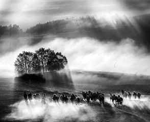 _DSC5139