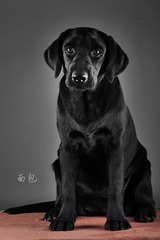 DSC_5664x.jpg